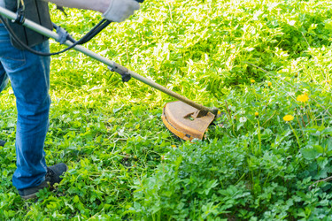 Similar image 22051251