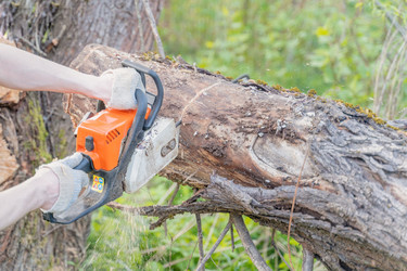 Similar image 22051253