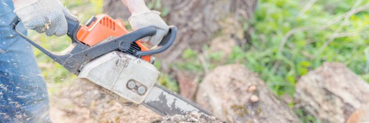 Similar image 22051254