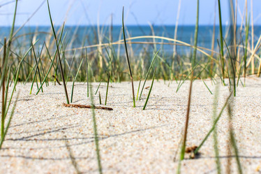 Similar image 22051259