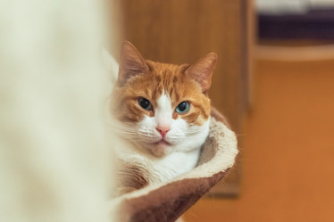 Similar image 22051265