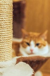 Similar image 22051267