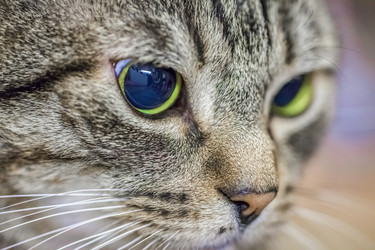 Similar image 22051268