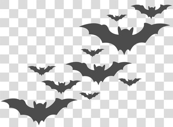 Similar image 22053130