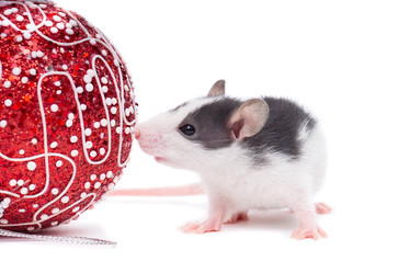 Similar image 22050170