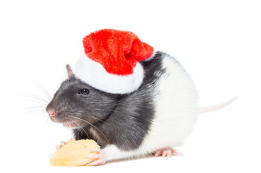 Similar image 22050171