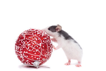 Similar image 22050173