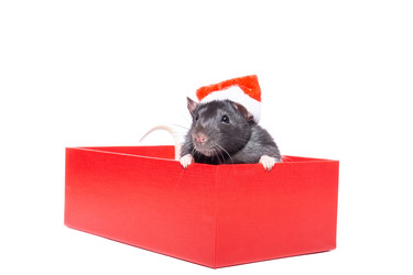 Similar image 22050174