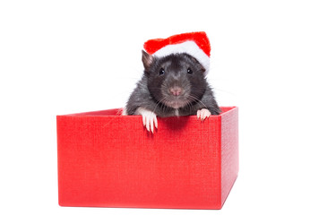 Similar image 22050176