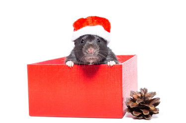 Similar image 22050179