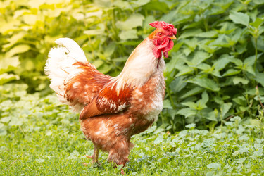 Similar image 22050183