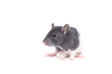 Similar image 22050186