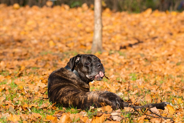 Similar image 22050205