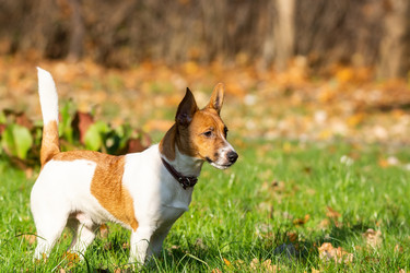 Similar image 22050209