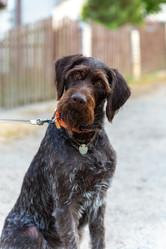 Similar image 22050462