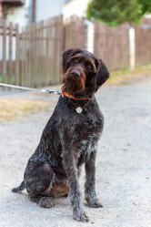 Similar image 22050463