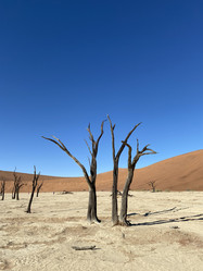 Similar image 22051388