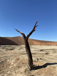 Similar image 22050969