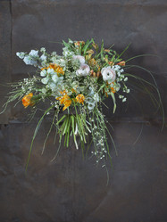 Similar image 22050470