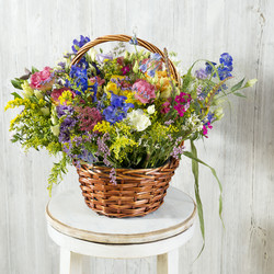 Similar image 22050494