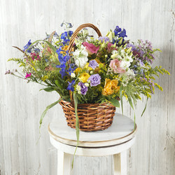 Similar image 22050495