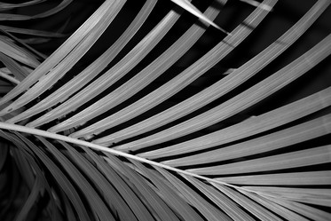 Similar image 22050863