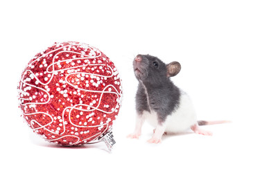 Similar image 22050708