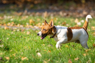 Similar image 22050711