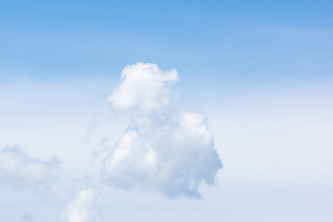 Similar image 22050714