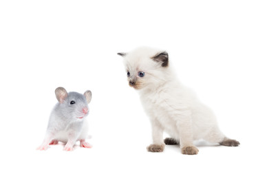 Similar image 22050717