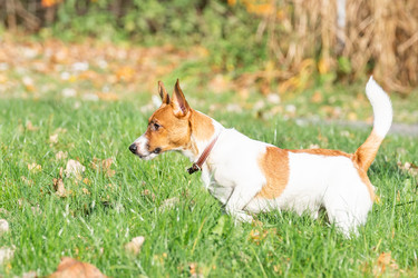 Similar image 22050718