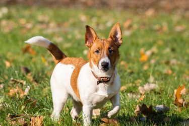 Similar image 22050721