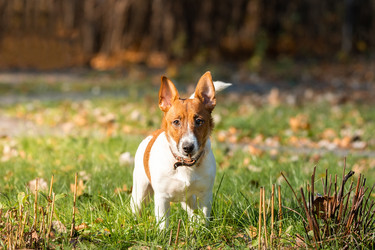 Similar image 22050722