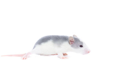 Similar image 22050725