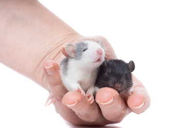 Similar image 22050729