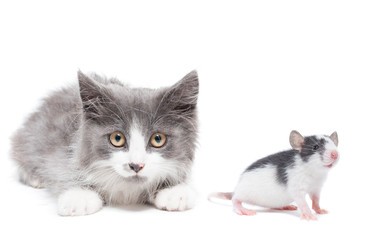 Similar image 22050732