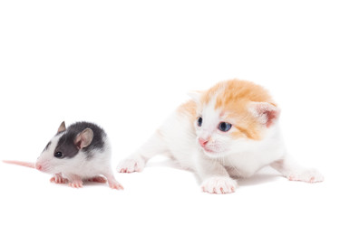 Similar image 22050738