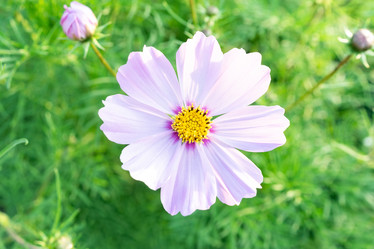 Similar image 22050744