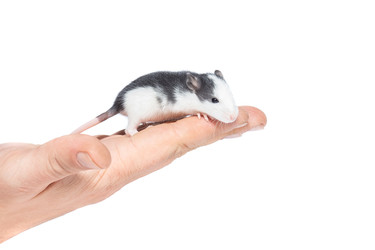 Similar image 22050745