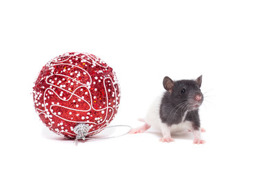 Similar image 22050747