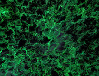 Similar image 22050533