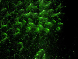 Similar image 22050545