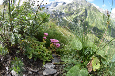 Similar image 22050547