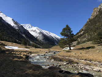 Similar image 22050549