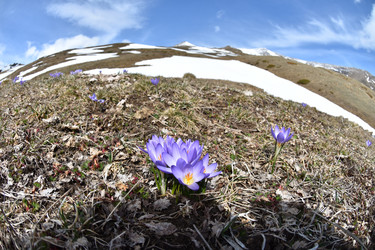 Similar image 22050552