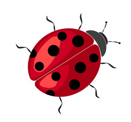 Similar image 22052931