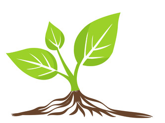 Similar image 22052935