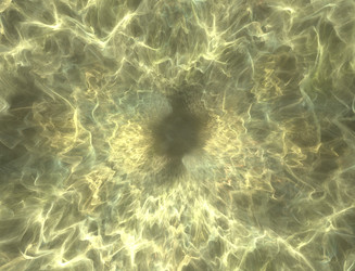 Similar image 22052246