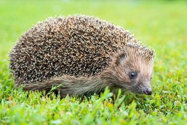 Similar image 22050758