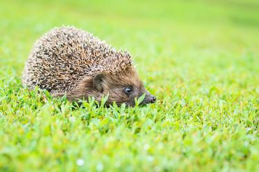 Similar image 22050760